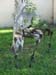 art_welding_002