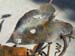 art_welding_015